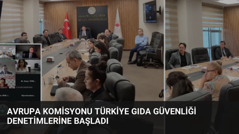Avrupa Komisyonu Türkiye Gıda Güvenliği Denetimlerine Başladı