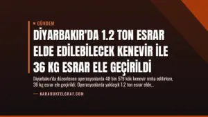 Diyarbakır’da 1.2 Ton Esrar Elde Edilebilecek Kenevir İle 36 Kg Esrar Ele Geçirildi