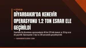 Diyarbakır'da Kenevir Operasyonu 1.2 Ton Esrar Ele Geçirildi