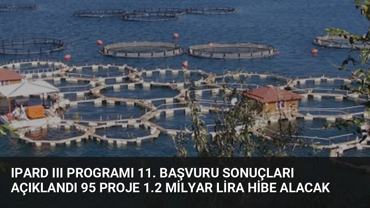 IPARD III Programı 11. Başvuru Sonuçları Açıklandı 95 Proje 1.2 Milyar Lira Hibe Alacak