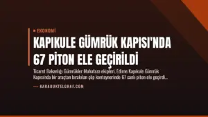 Kapıkule Gümrük Kapısı’nda 67 Piton Ele Geçirildi